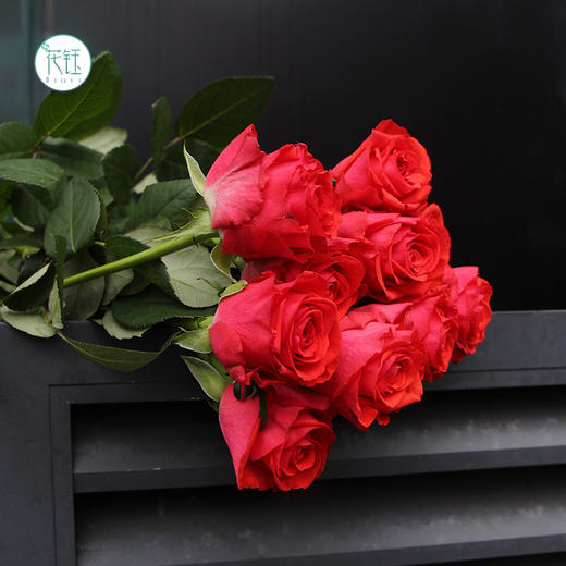 昆明发货昆明国产优质玫瑰摩羯座910支打包会裁剪部分长度全国顺丰