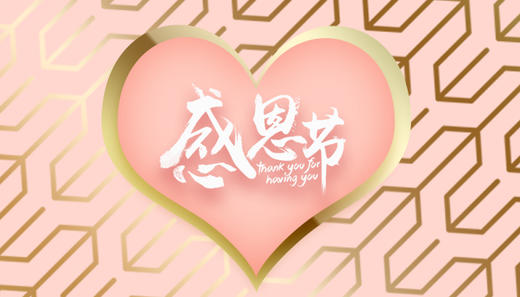 感恩节快乐 商品图0