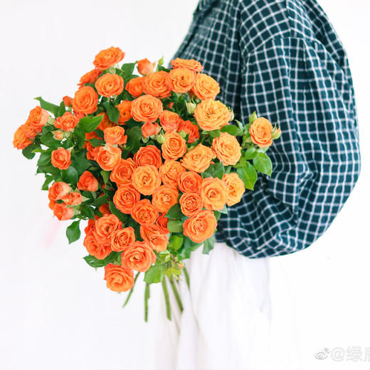 【周四团购】多头泡泡玫瑰一把69.8元 2人拼团 商品图1