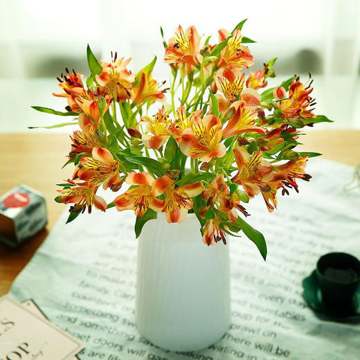 【周四团购】水仙百合一把/29.9元 2人拼团 商品图1