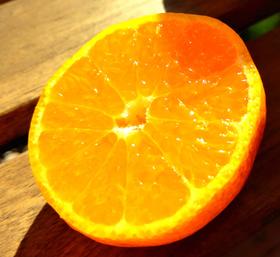 【酸酸甜甜好吃】浙江临海涌泉蜜桔 2020新果（仅售江浙沪地区）