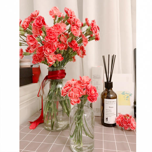 【周四团购】多丁康乃馨一把/29.9元 2人拼团 商品图1