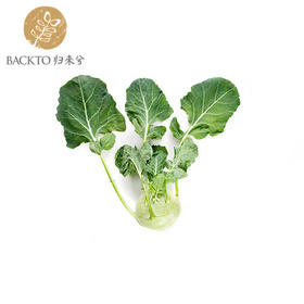 苤蓝 400g/份 （农场有机种植，暂无有机标）全国配送（偏远地区除外）