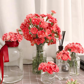 【周四团购】多丁康乃馨一把/29.9元 2人拼团