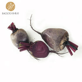 根甜菜 400g/份 （农场有机种植，暂无有机标）全国配送（偏远地区除外）