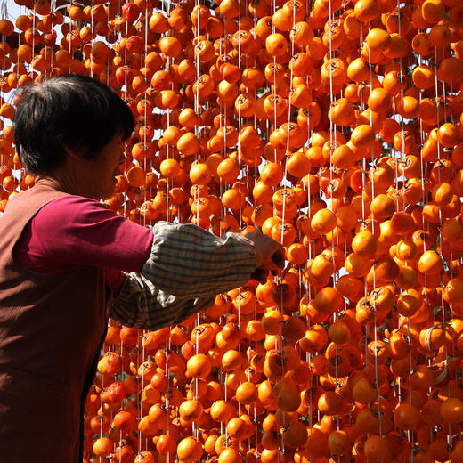 物本源·2025 微霜流心柿饼 预售 商品图4