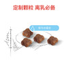 皇家BK34/K36奶糕粮幼猫粮400g2kg/10kg 商品缩略图3