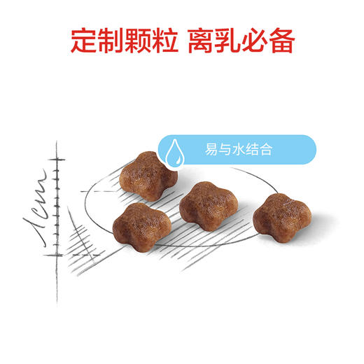 皇家BK34/K36奶糕粮幼猫粮400g2kg/10kg 商品图3