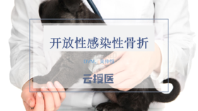 2019年11月外科基础2