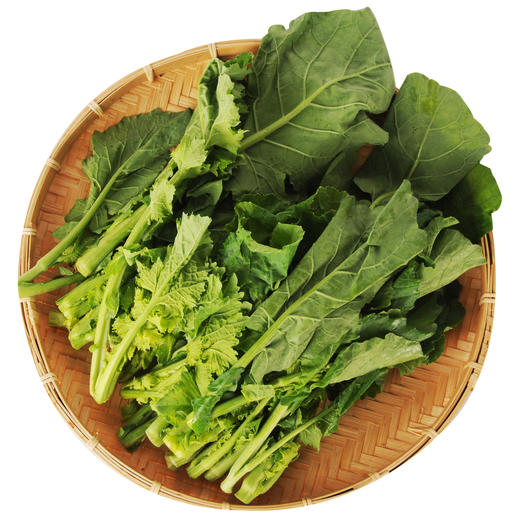 放心白油菜/份