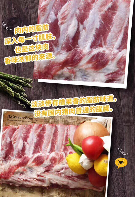西班牙🇪🇸 纯种100%伊比利亚橡木果黑猪肋排，18-24月以上 纯散养生长 商品图4