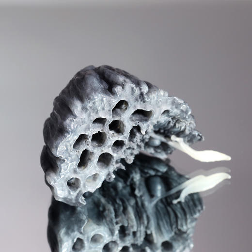 和田玉（青花）摆件--莲蓬 （邱启敬）171.12g 商品图1