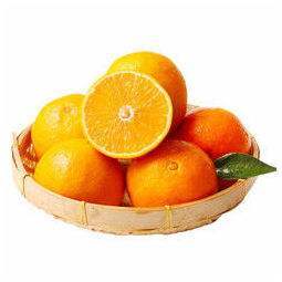 【自营】爱媛橙 又名果冻橙 8斤左右