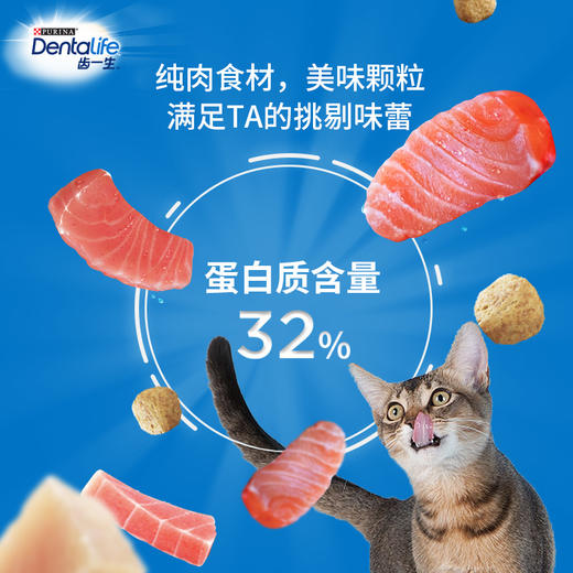齿一生猫用洁齿饼干50g*3包/170g洁齿去牙菌斑清新口气 商品图0