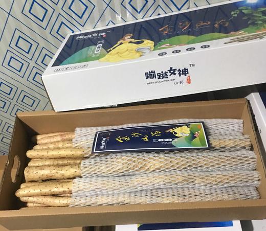 精品金沙山药  5斤装 商品图1