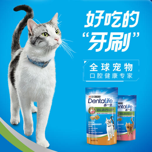 齿一生猫用洁齿饼干50g*3包/170g洁齿去牙菌斑清新口气 商品图1