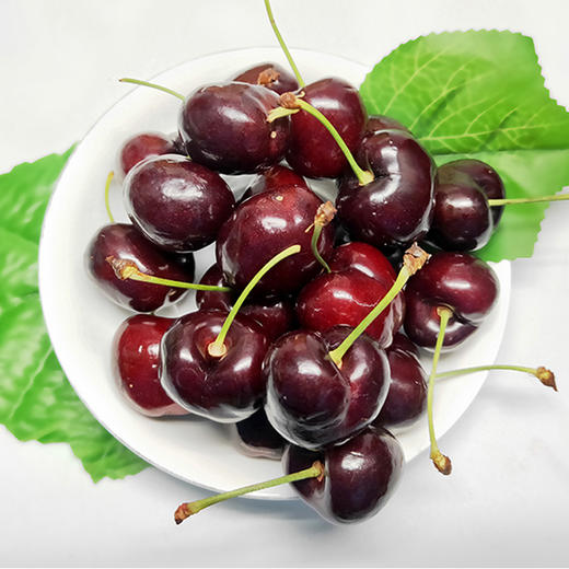 三藩市白箱桑缇娜4j车厘子5斤箱