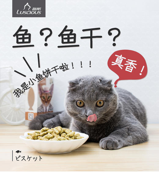 路斯猫饼干磨牙洁齿冻干鸡肉粒羊奶猫草棒磨牙棒 商品图3