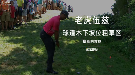 老虎伍兹｜下坡位粗草区球位，看看伍兹是如何处理的。 商品图0