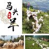 2025 郧西马头山羊腿10斤装(整腿） 商品缩略图1