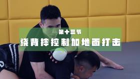 13.过肩摔转十字固