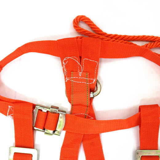 【安全防护】PRO-SH-512双背安全带 商品图1