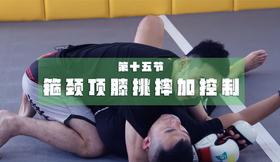 15.箍颈顶膝挑摔加控制