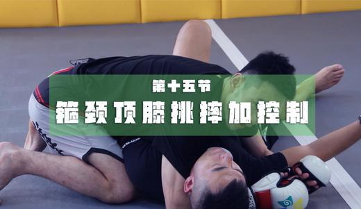 15.箍颈顶膝挑摔加控制 商品图0