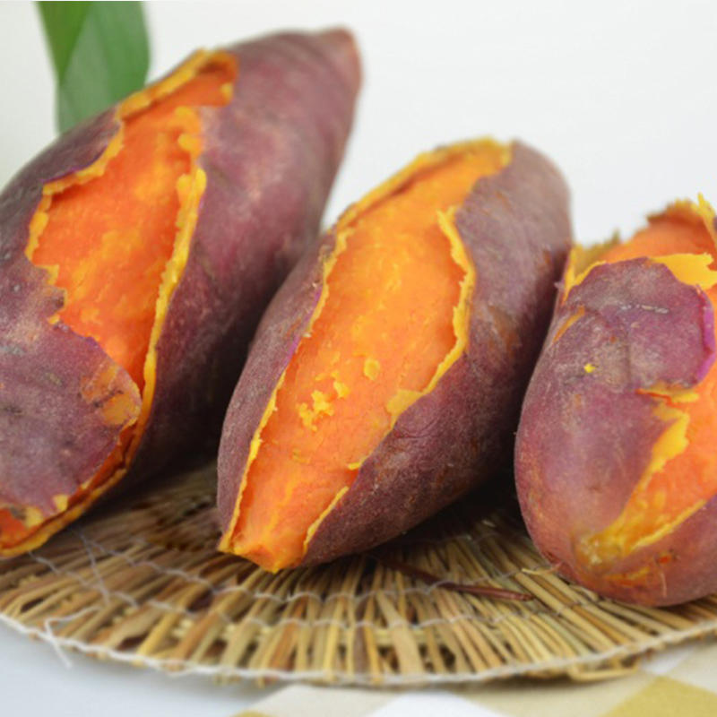 福建六鳌富硒红蜜薯 软糯香甜 现挖现发 5斤装