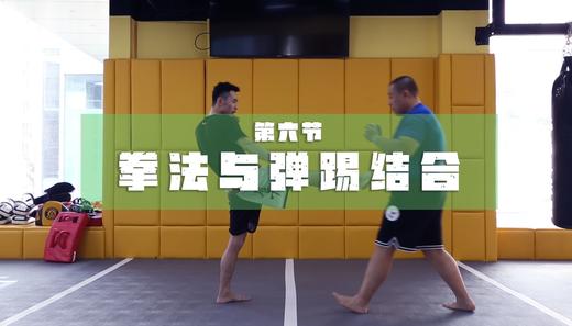 6.拳法与弹踢/正蹬结合 商品图0