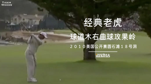 经典老虎｜球道木绕树右曲球攻果岭/2010美国公开赛圆石滩18号洞 商品图0