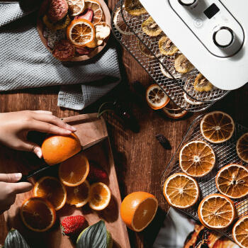 摩飞干果机MR6255 商品图3