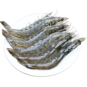 冰鲜虾 天然海捕/肉质鲜嫩