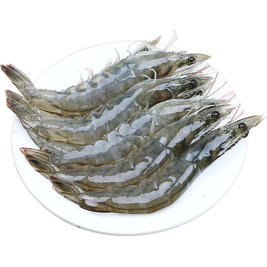 冰鲜虾 天然海捕/肉质鲜嫩 商品图0