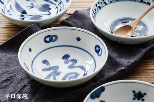 日本进口蓝凛堂轻量圆盘 商品图0