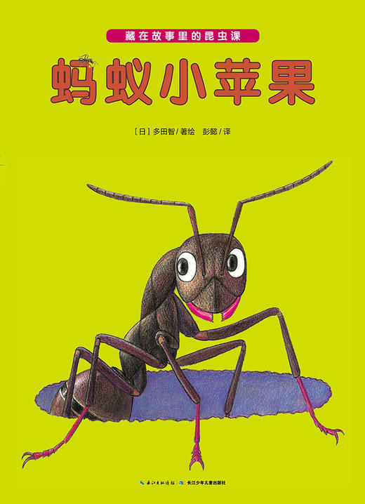 蚂蚁小苹果 商品图0