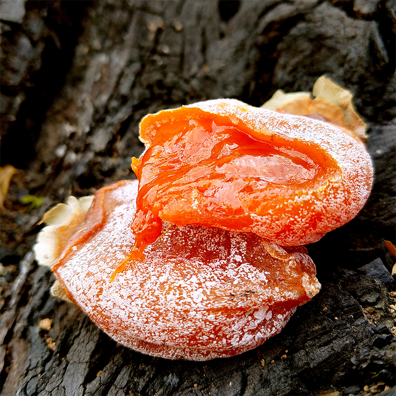 【陕西 富平柿饼】纯手工制作 天然霜冻而成的溏心吊柿 一年只有一次