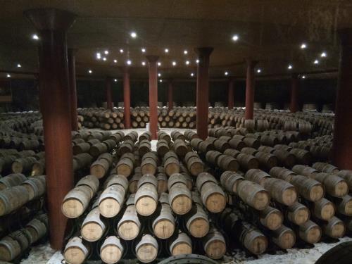 冬天如何储存葡萄酒？ 商品图0