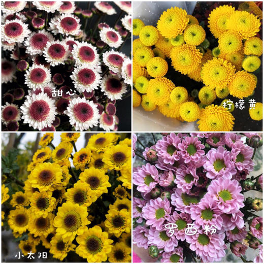 【周四团购】混搭雏菊一把/29.9元 2人拼团 商品图1