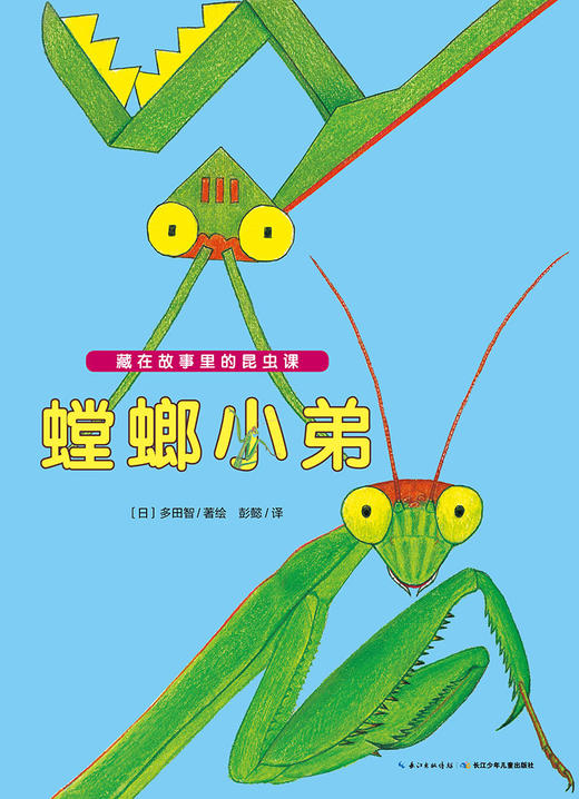 螳螂小弟 商品图0