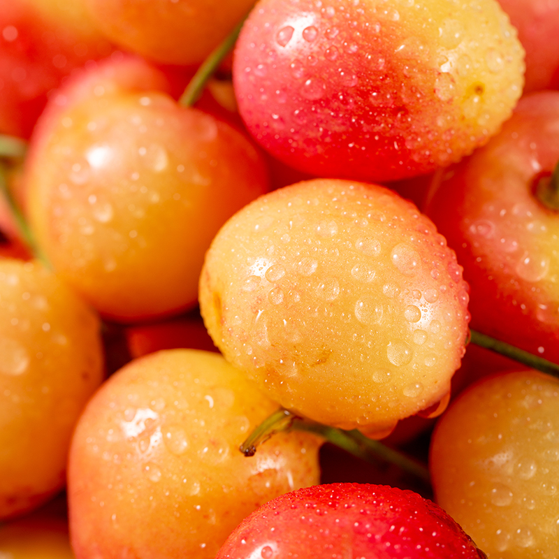 【跨年狂欢】智利jj级蕾妮rainier黄金车厘子 1斤装