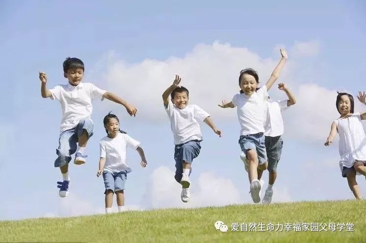 【福利】言伊老师-解读先天气质