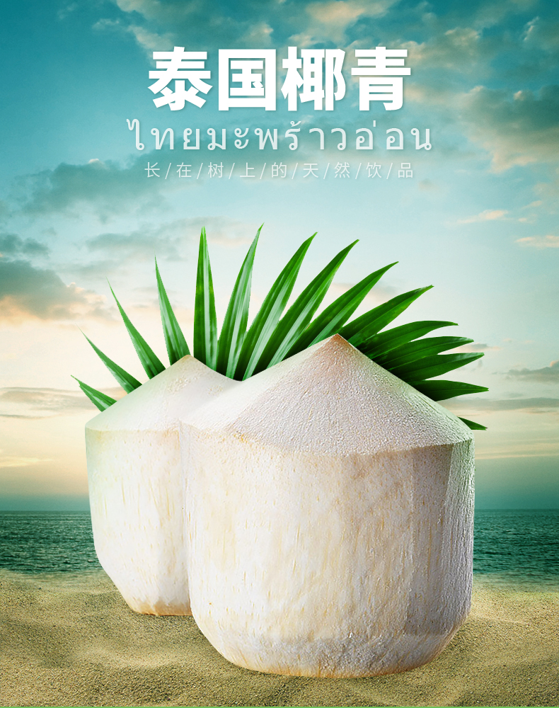 泰国功夫鲜椰9枚箱包邮冷藏保存
