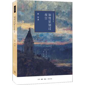 如彗星划过夜空 近距离看美国之四