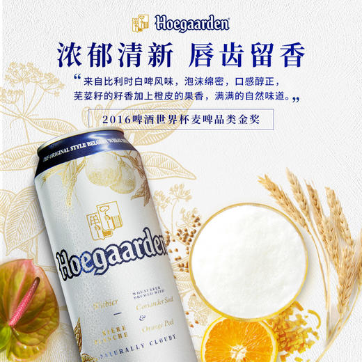 【1箱|精酿】福佳（Hoegaarden） 白啤酒 500ml*18罐【比利时品牌啤酒】 商品图3