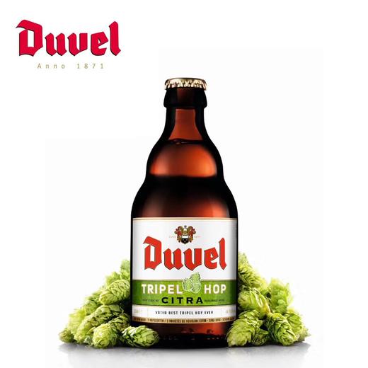 比利时督威三花艾尔啤酒 9.5%Vol 商品图0