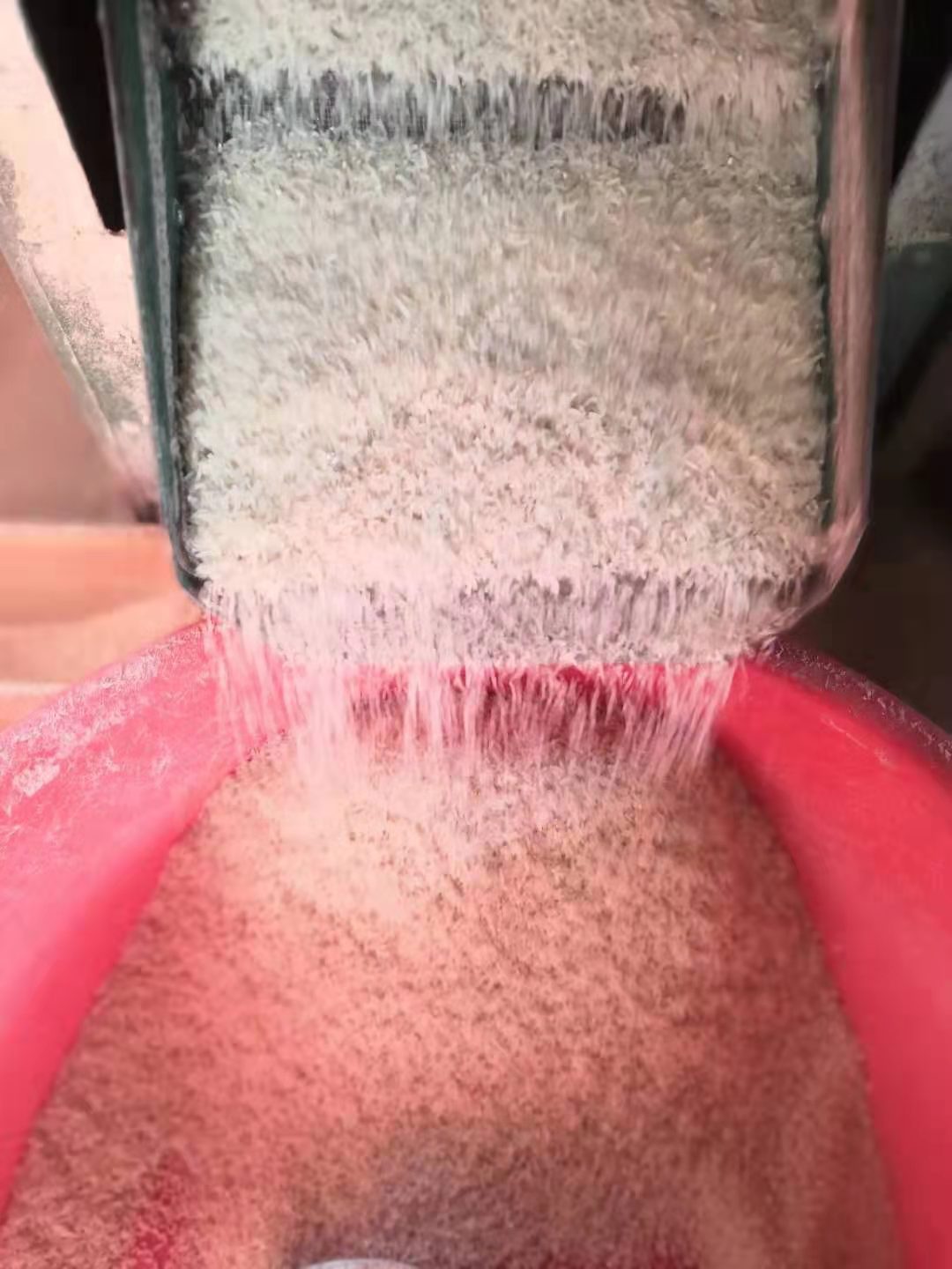 合浦农家自种 美香占2号大米10斤