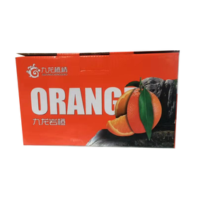 九龙橙 5斤/箱