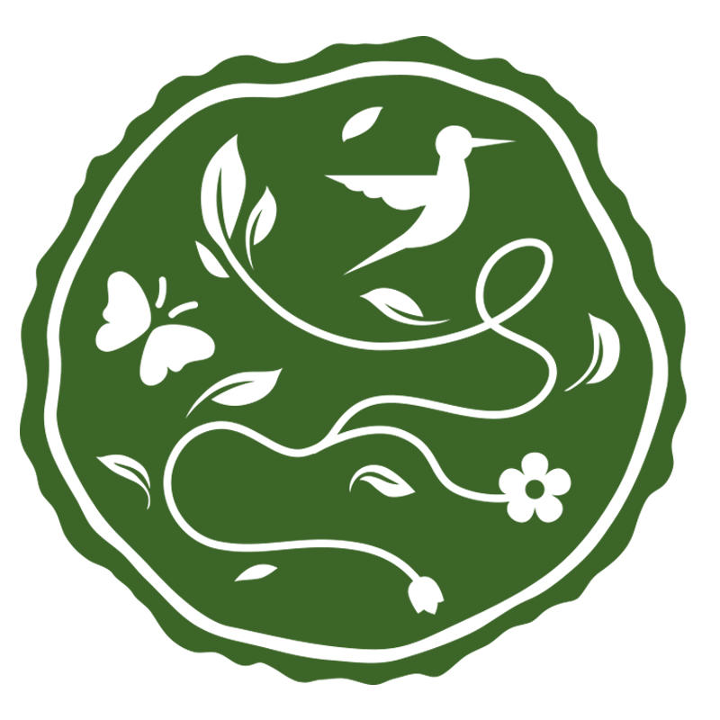 阅叶旗舰店210201