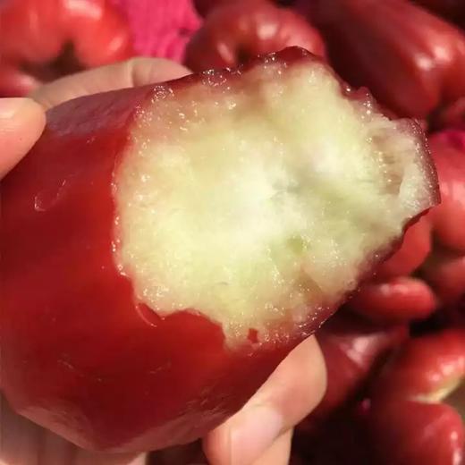 海南黑金刚莲雾 海南空运 好好吃的莲雾 商品图9